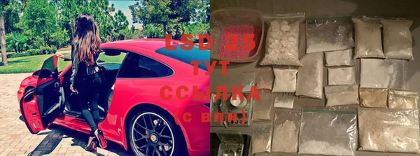 ПСИЛОЦИБИНОВЫЕ ГРИБЫ Абдулино