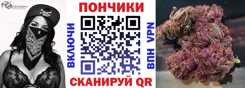 Бошки марихуана семена kraken вход Котлас